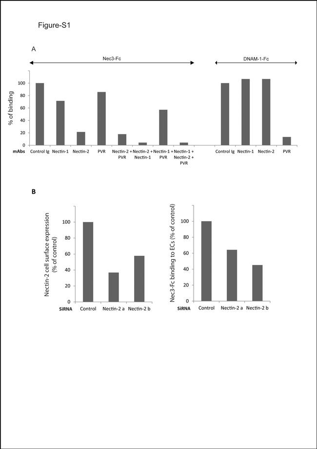 CD112 (Nectin-2) Antibody in Flow Cytometry (Flow)