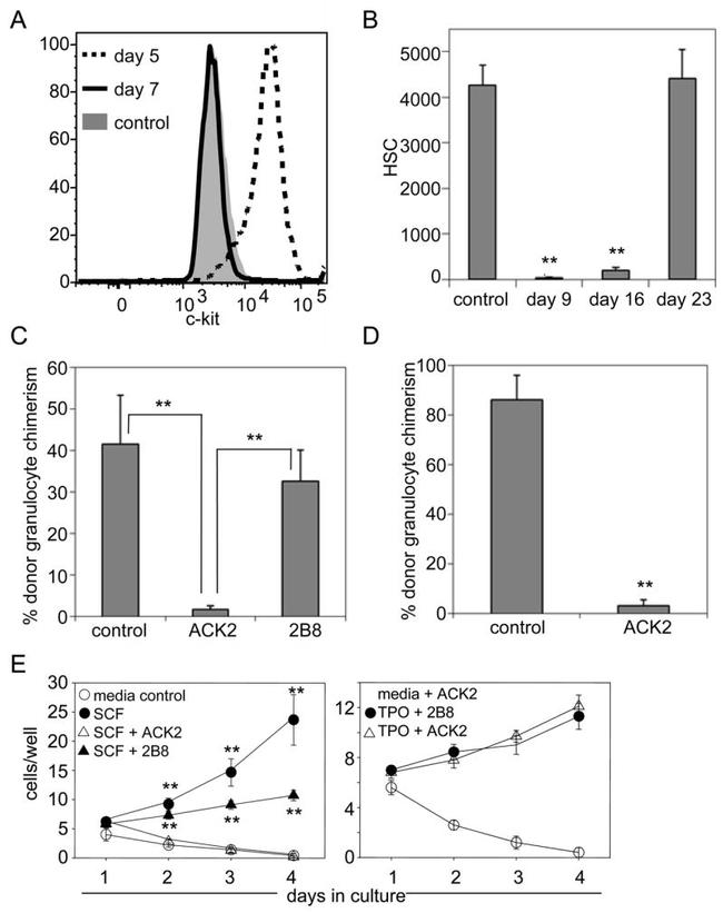 CD117 (c-Kit) Antibody in Flow Cytometry (Flow)