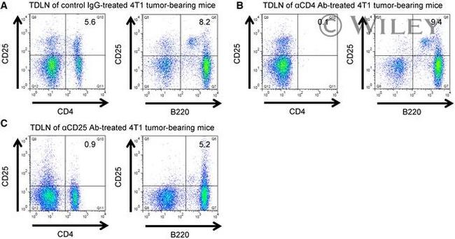 CD25 Antibody in Neutralization (Neu)