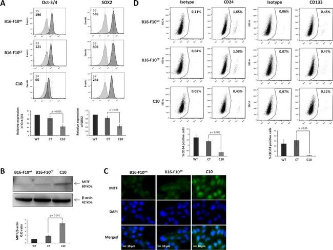 CD133 (Prominin-1) Antibody in Flow Cytometry (Flow)