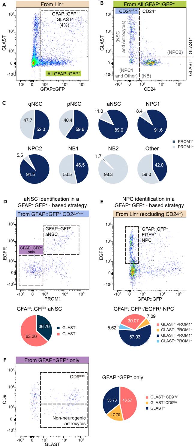 CD133 (Prominin-1) Antibody in Flow Cytometry (Flow)