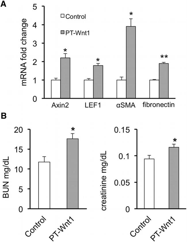 CD140b (PDGFRB) Antibody in Flow Cytometry (Flow)