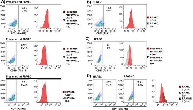 CD144 (VE-cadherin) Antibody in Flow Cytometry (Flow)