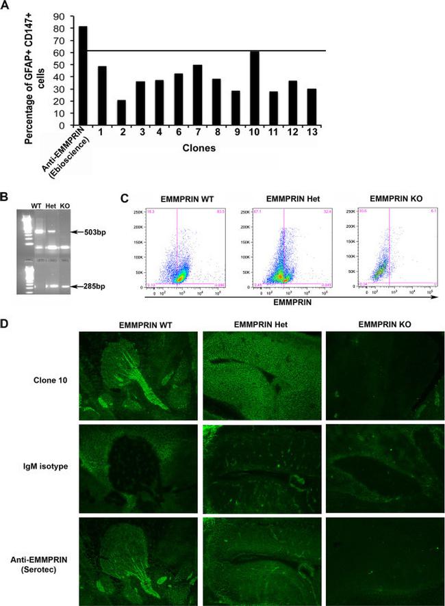 CD147 Antibody in Flow Cytometry (Flow)