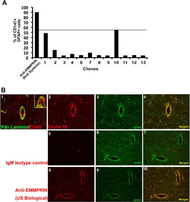 CD147 Antibody in Flow Cytometry (Flow)