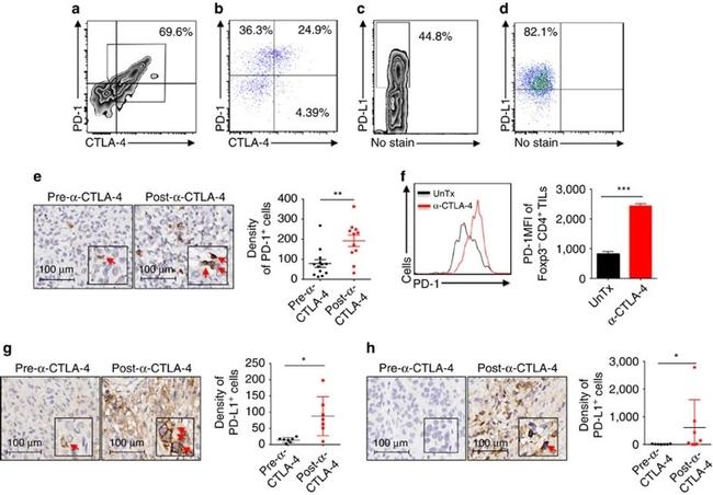 CD152 (CTLA-4) Antibody in Flow Cytometry (Flow)