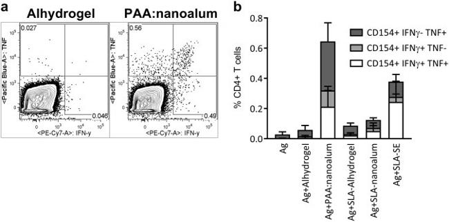 CD154 (CD40 Ligand) Antibody in Flow Cytometry (Flow)