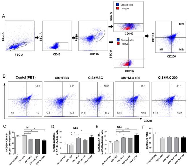 CD163 Antibody in Flow Cytometry (Flow)