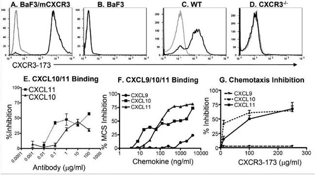 CD183 (CXCR3) Antibody in Flow Cytometry (Flow)