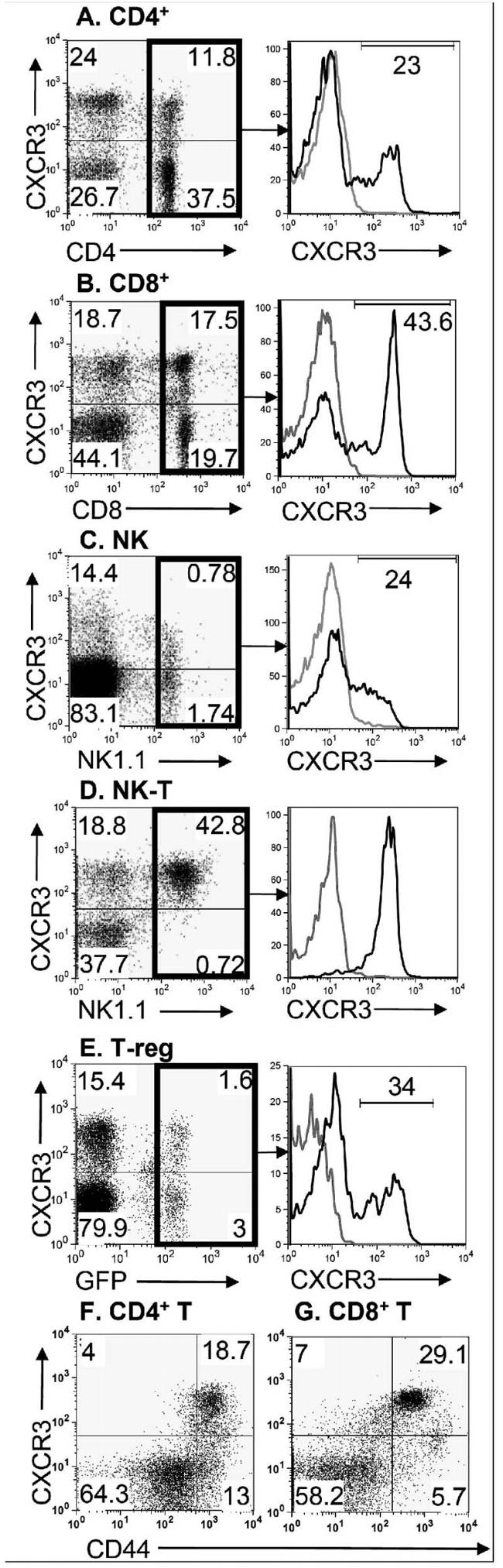 CD183 (CXCR3) Antibody in Flow Cytometry (Flow)