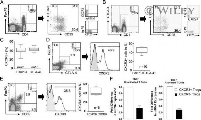 CD183 (CXCR3) Antibody in Flow Cytometry (Flow)