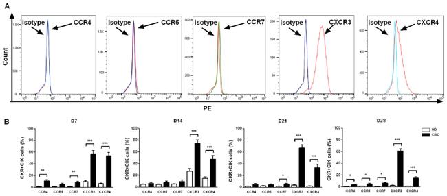 CD194 (CCR4) Antibody in Flow Cytometry (Flow)