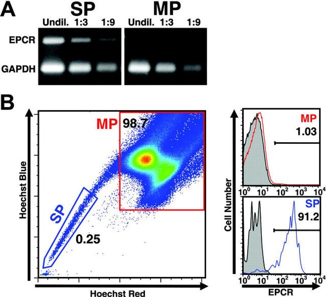 CD201 (EPCR) Antibody in Flow Cytometry (Flow)