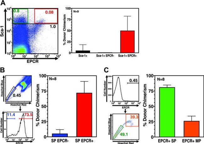 CD201 (EPCR) Antibody in Flow Cytometry (Flow)