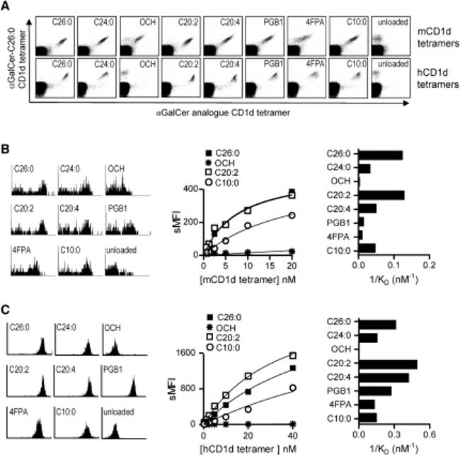 alpha GalCer:CD1d Complex Antibody in Flow Cytometry (Flow)