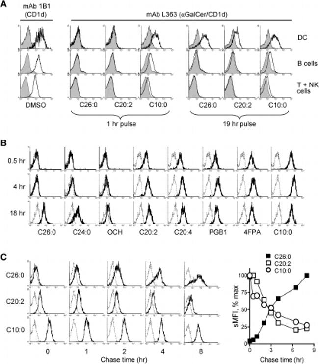 alpha GalCer:CD1d Complex Antibody in Flow Cytometry (Flow)