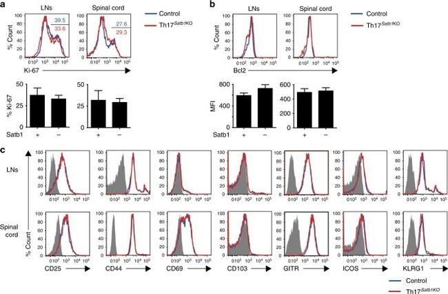 KLRG1 Antibody in Flow Cytometry (Flow)