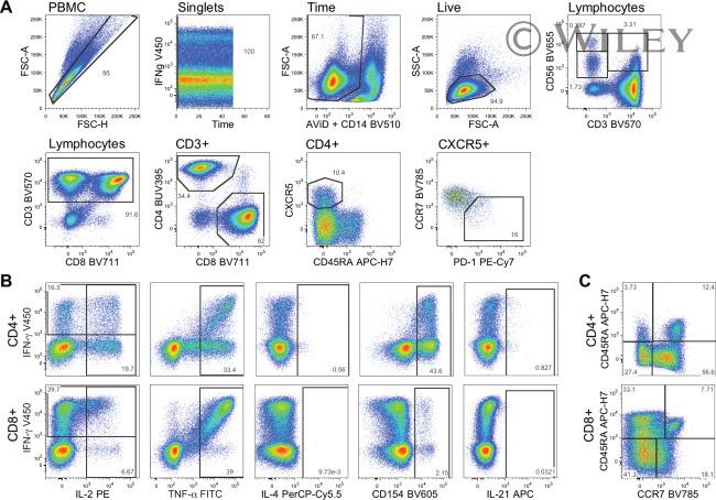 CD185 (CXCR5) Antibody in Flow Cytometry (Flow)