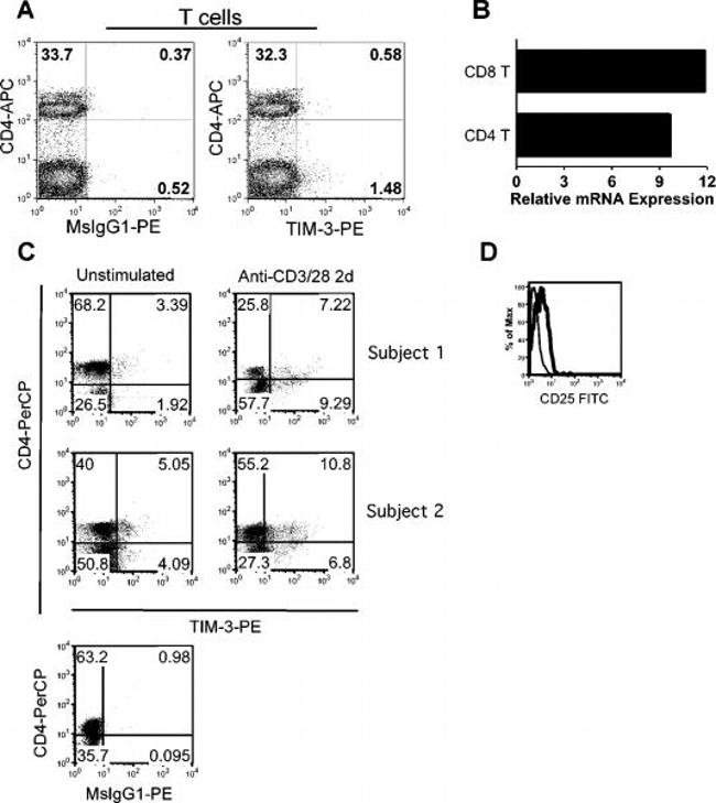 CD366 (TIM3) Antibody in Flow Cytometry (Flow)