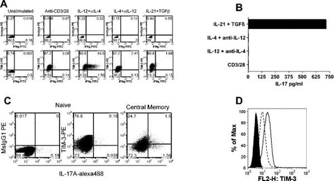 CD366 (TIM3) Antibody in Flow Cytometry (Flow)