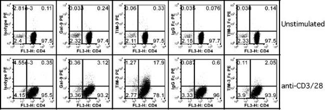 CD366 (TIM3) Antibody in Flow Cytometry (Flow)