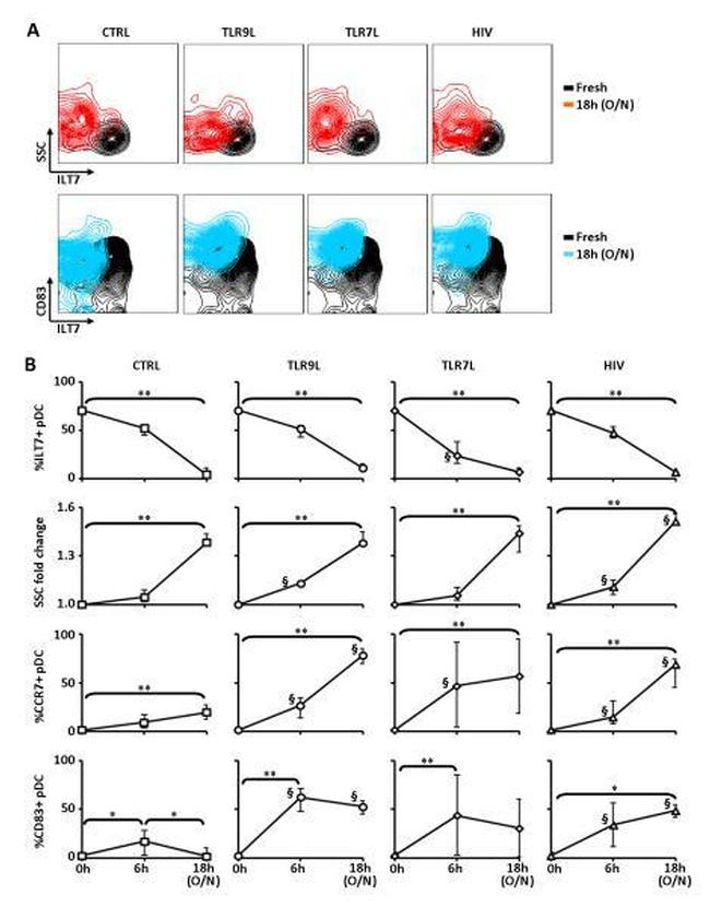 CD85g (ILT7) Antibody in Flow Cytometry (Flow)