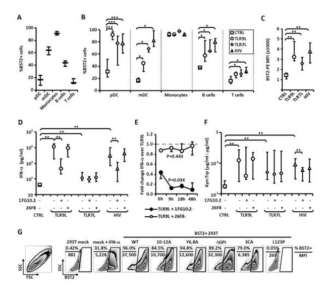 CD317 (BST2, PDCA-1) Antibody in Flow Cytometry (Flow)