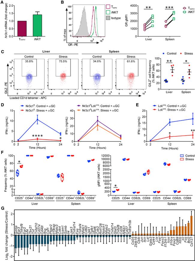 GILZ Antibody in Flow Cytometry (Flow)