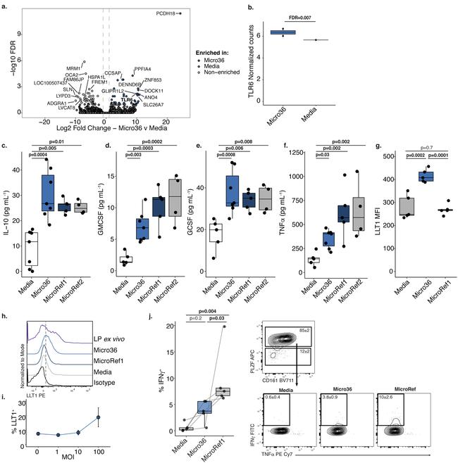 TCR alpha/beta Antibody in Flow Cytometry (Flow)