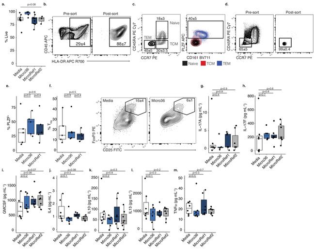 FOXP3 Antibody in Flow Cytometry (Flow)