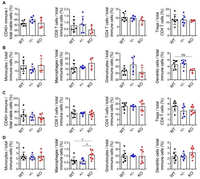 FOXP3 Antibody in Flow Cytometry (Flow)