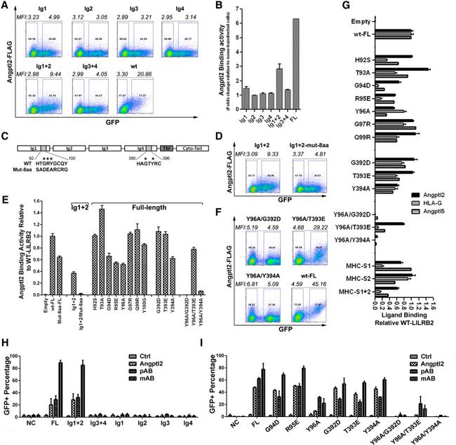 CD85d (ILT4) Antibody in Flow Cytometry (Flow)