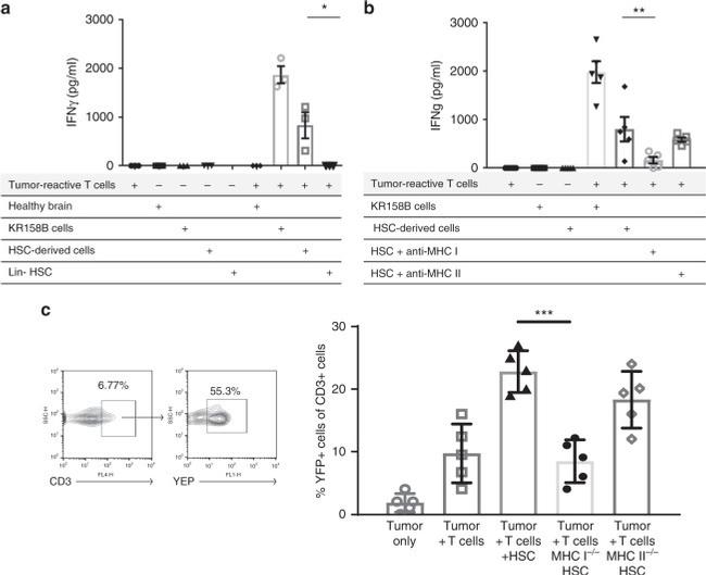 MHC Class II (I-A/I-E) Antibody in Flow Cytometry (Flow)