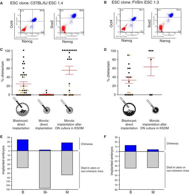 Nanog Antibody in Flow Cytometry (Flow)