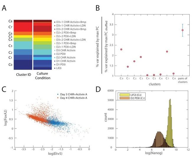 Nanog Antibody in Flow Cytometry (Flow)