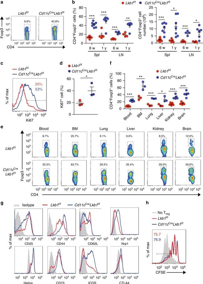 CD278 (ICOS) Antibody in Flow Cytometry (Flow)