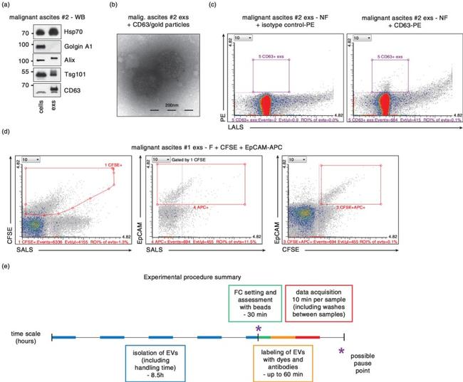 CD326 (EpCAM) Antibody in Flow Cytometry (Flow)