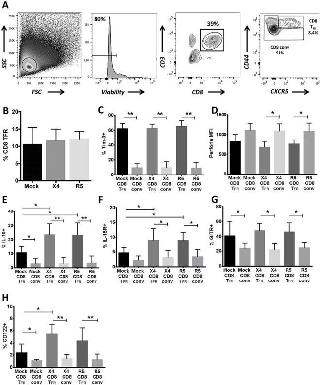 CD357 (AITR/GITR) Antibody in Flow Cytometry (Flow)