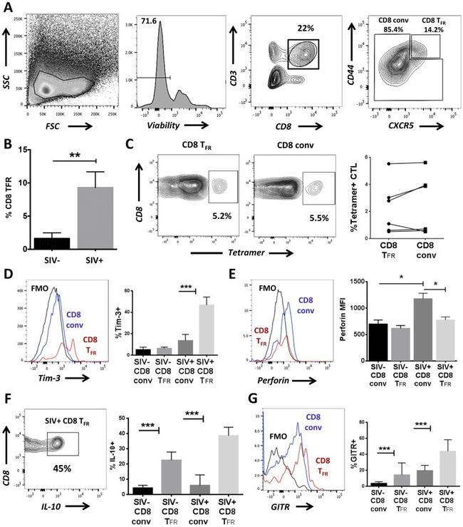 CD8a Antibody in Flow Cytometry (Flow)