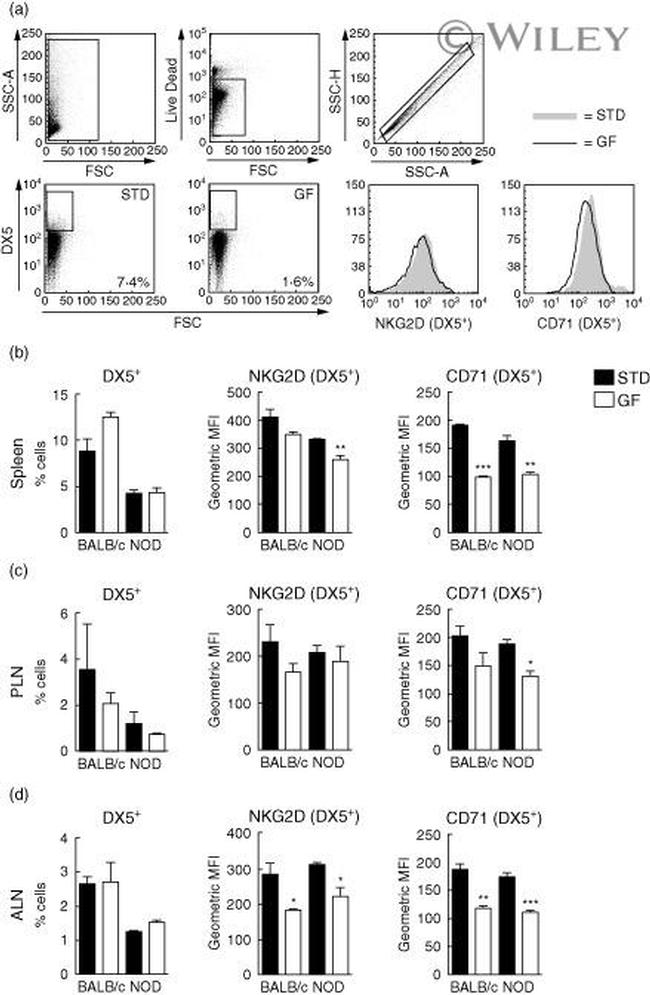 CD314 (NKG2D) Antibody in Flow Cytometry (Flow)