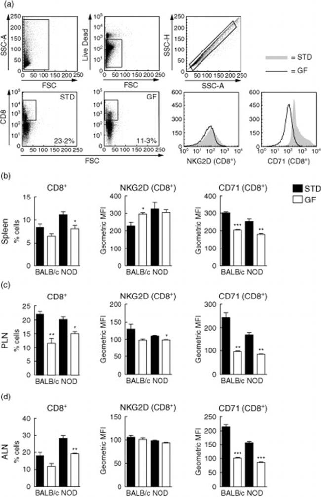 CD314 (NKG2D) Antibody in Flow Cytometry (Flow)