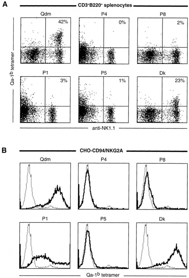 NKG2A/C/E Antibody in Flow Cytometry (Flow)