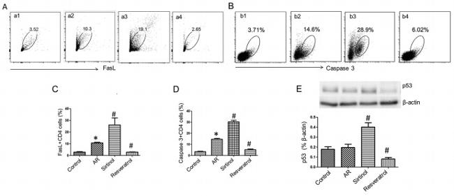 CD178 (Fas Ligand) Antibody in Flow Cytometry (Flow)