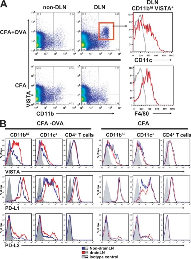 VISTA Antibody in Flow Cytometry (Flow)