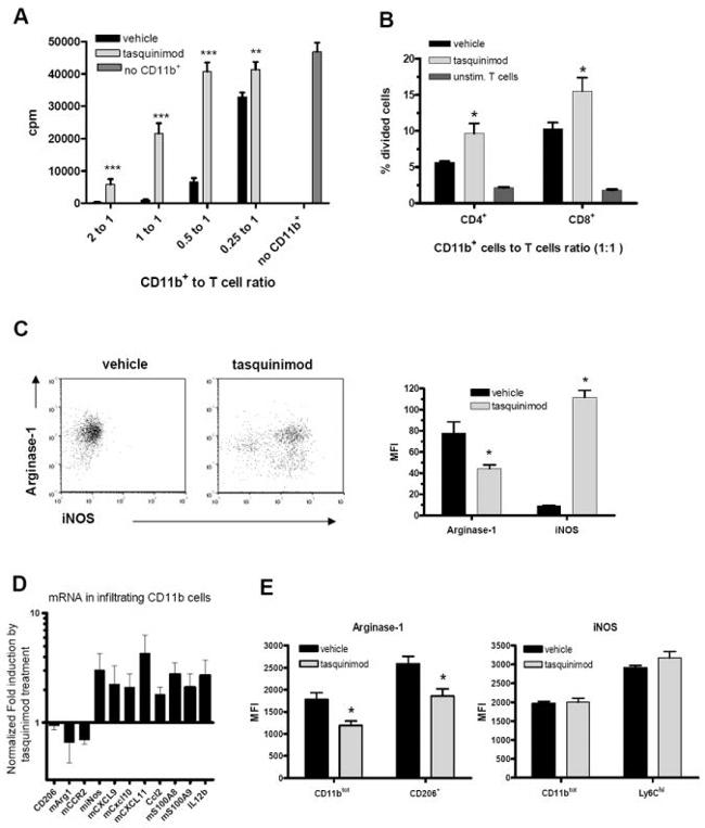 iNOS Antibody in Flow Cytometry (Flow)