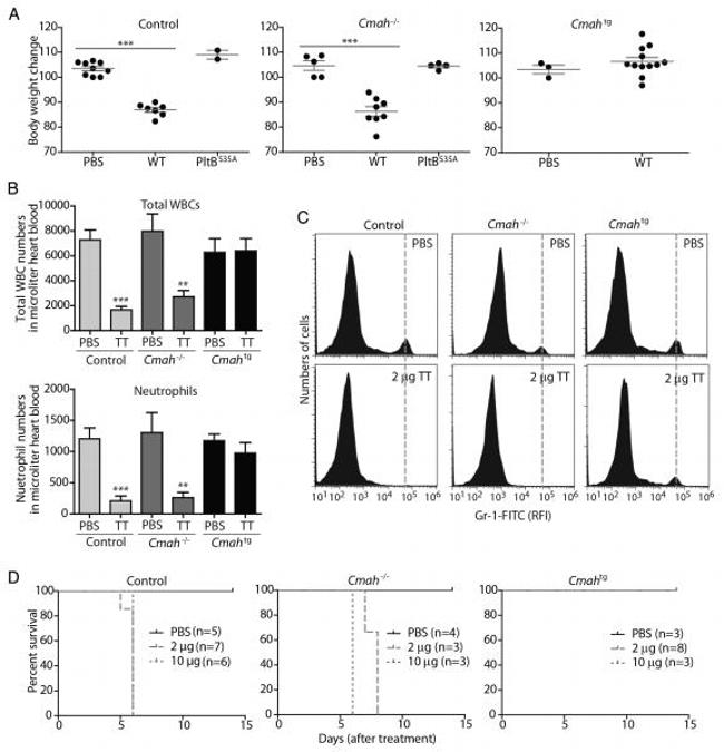 Ly-6G/Ly-6C Antibody in Flow Cytometry (Flow)