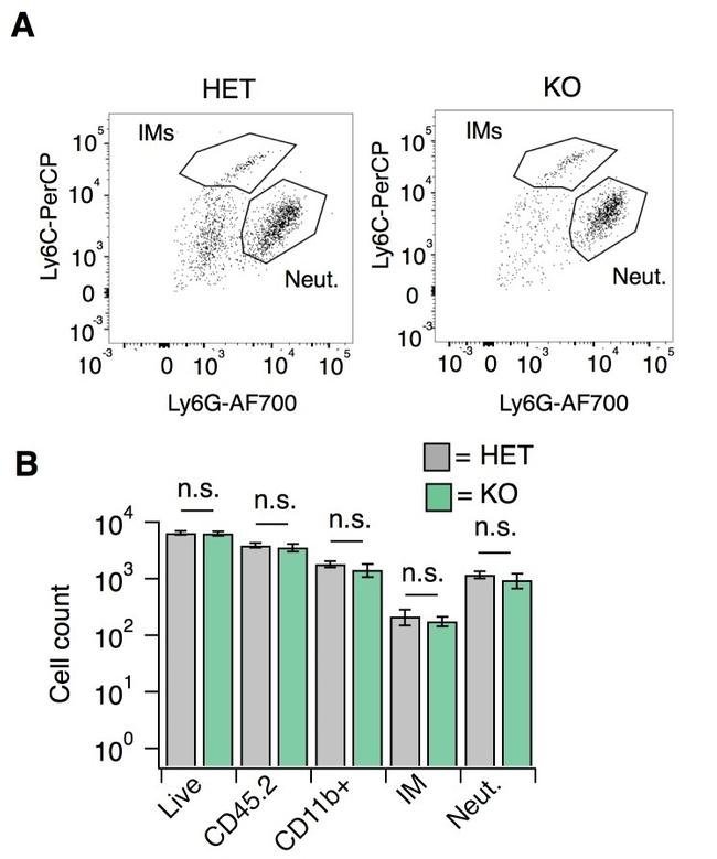 Ly-6C Antibody in Flow Cytometry (Flow)