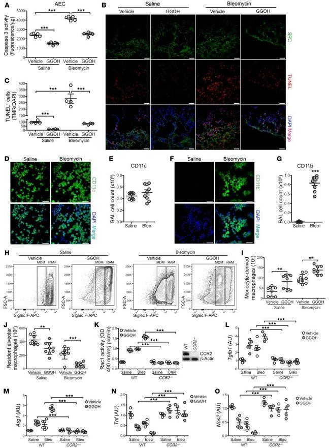 Ly-6C Antibody in Flow Cytometry (Flow)