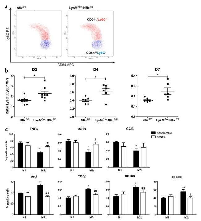 Ly-6C Antibody in Flow Cytometry (Flow)