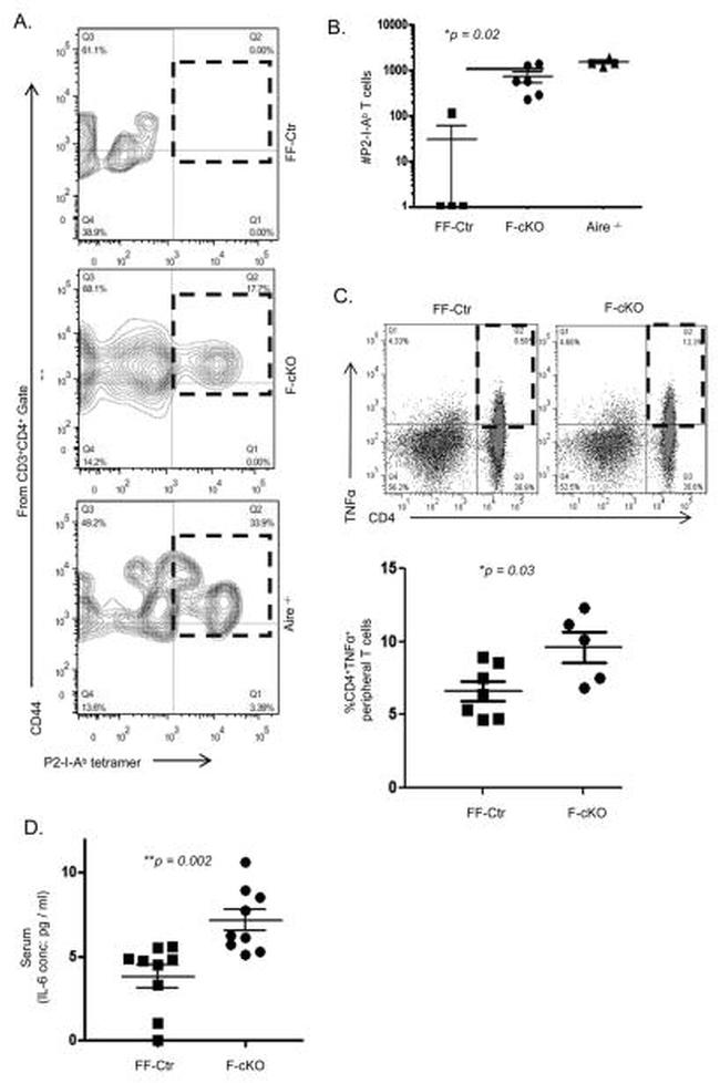 AIRE Antibody in Flow Cytometry (Flow)